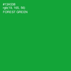 #13A538 - Forest Green Color Image